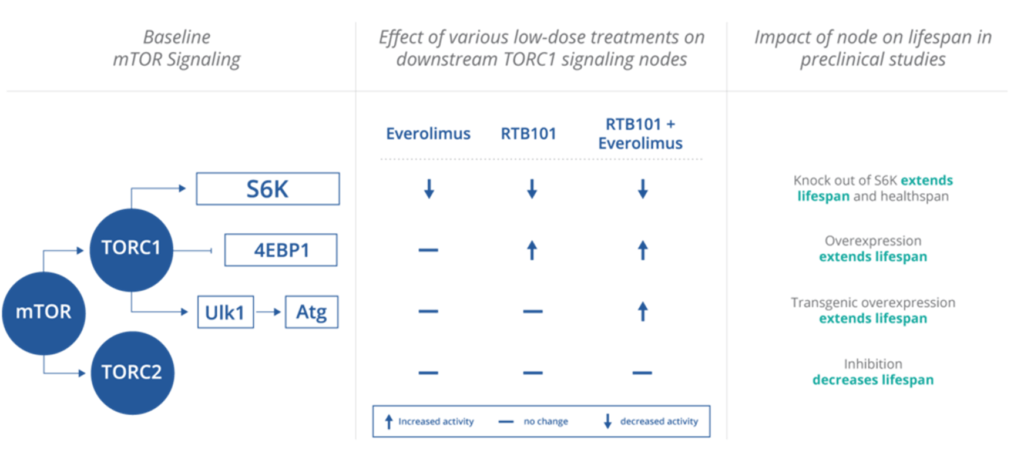 resTORbio mTOR study